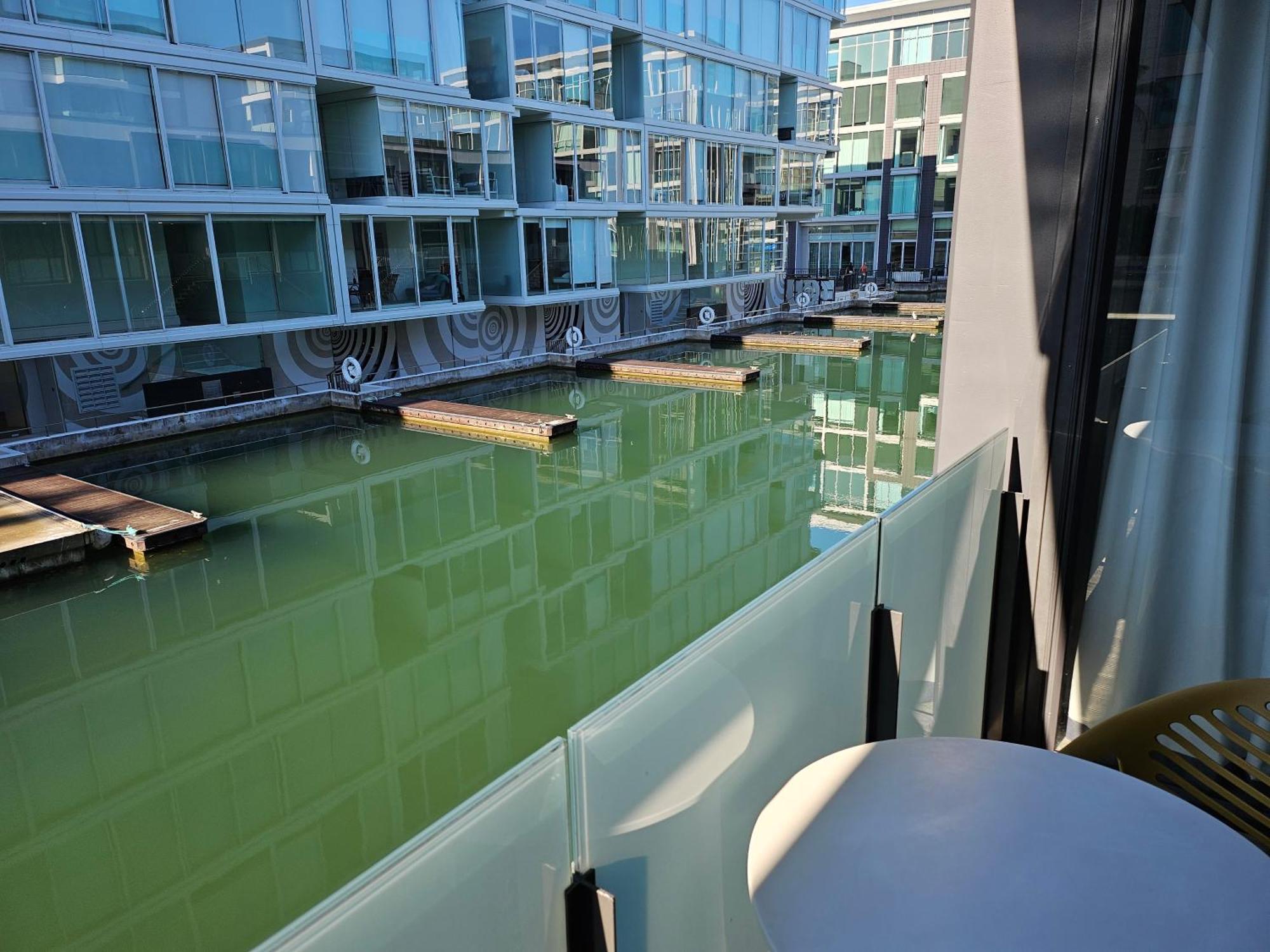 Pavilions Marina Apartment 102 - Wynyard Quarter Viaduct Harbour Auckland Luaran gambar